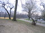 Ducky-060401-18